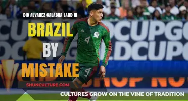 Alvarez Calabra's Brazil Landing: Accidental Arrival or Intentional Journey?
