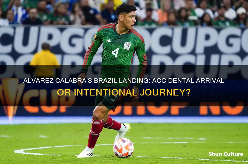did alvarez calabra land in brazil by mistake