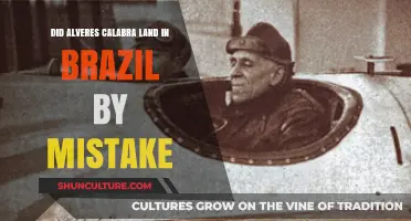 Alvares Cabral's Brazil Landing: Accidental Discovery or Strategic Move?