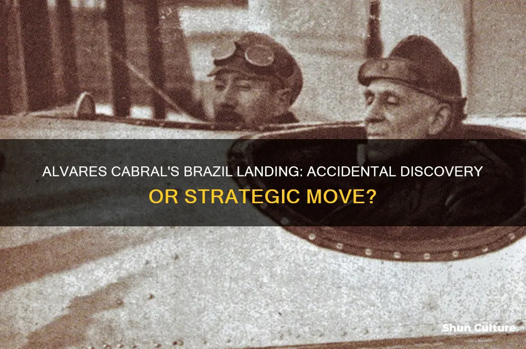 did alveres calabra land in brazil by mistake