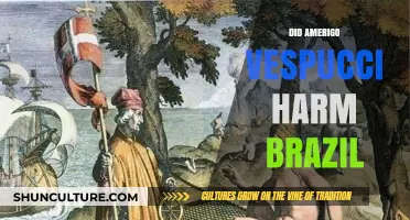 Amerigo Vespucci's Impact: Harmful Legacy in Brazil's History?