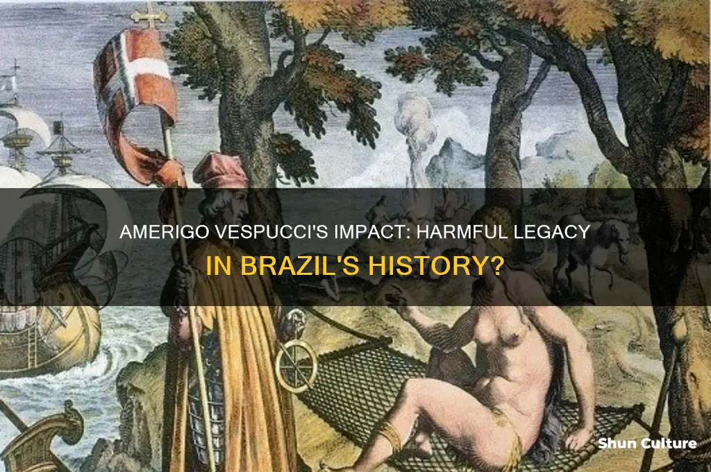 did amerigo vespucci harm brazil