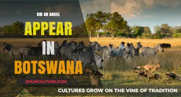 Mysterious Angel Sighting in Botswana: Fact or Fiction?