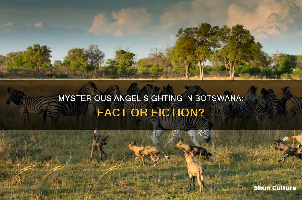 did an angel appear in botswana
