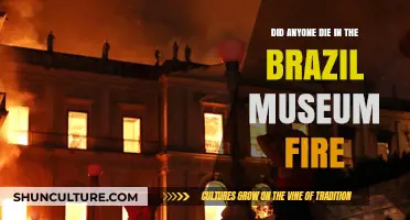 Brazil Museum Fire: Fatalities and the Loss of Cultural Heritage