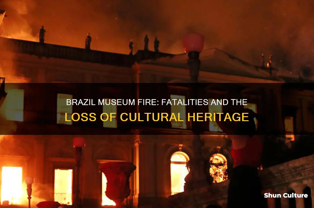 did anyone die in the brazil museum fire