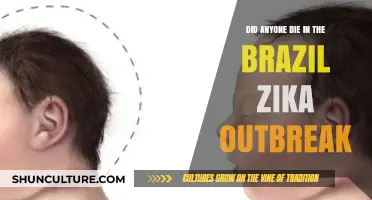 Brazil's Zika Outbreak: Fatalities and Public Health Impact Explored