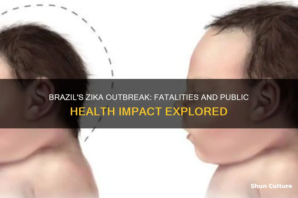 did anyone die in the brazil zika outbreak