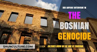 Bosnian Genocide: The World's Silence and Lack of Intervention