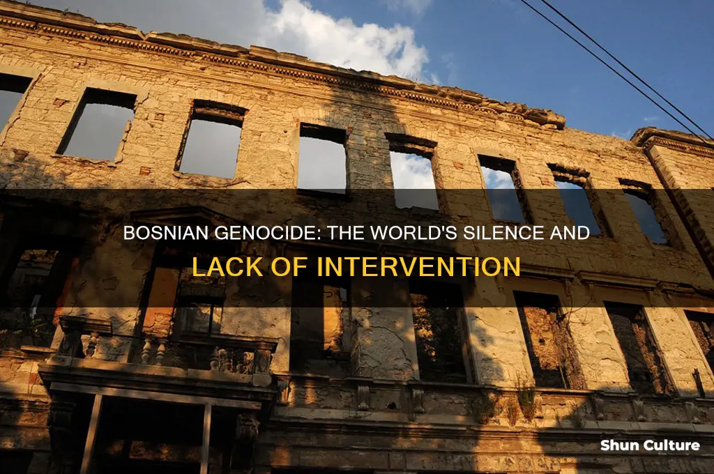 did anyone intervene in the bosnian genocide