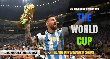 Argentina's World Cup Qualification Journey: A Thrilling Recap