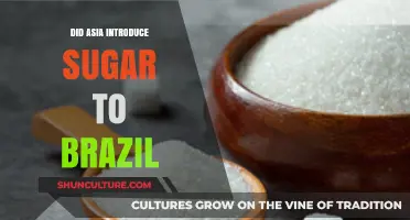 Asia's Sweet Legacy: How Sugar Reached Brazil's Shores