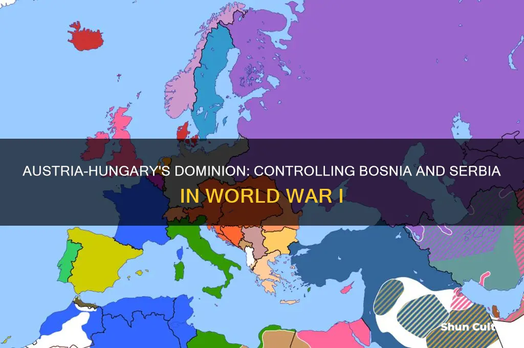 did austra have control over bosnia and serbia during ww1