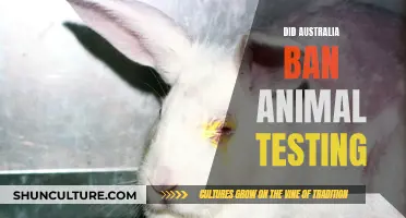 Animal Testing: Australia's Strict Regulations and Bans