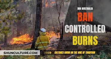 Australia's Controlled Burns: Ban or Regulation?
