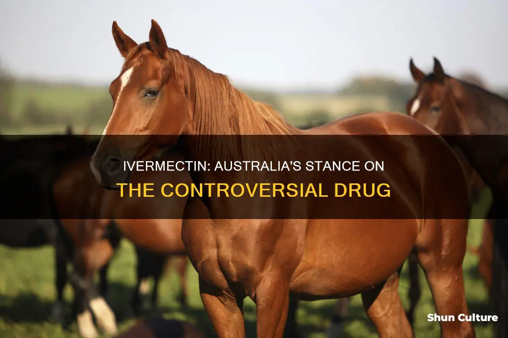 did australia ban ivermectin