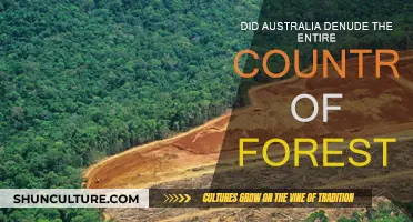 Australia's Forests: Denuded or Defended?