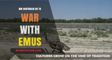 Australia's Emu War: Fact or Fiction? The Surprising Truth