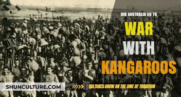 Australia's Kangaroo War: Fact or Fiction? Unraveling the Myth