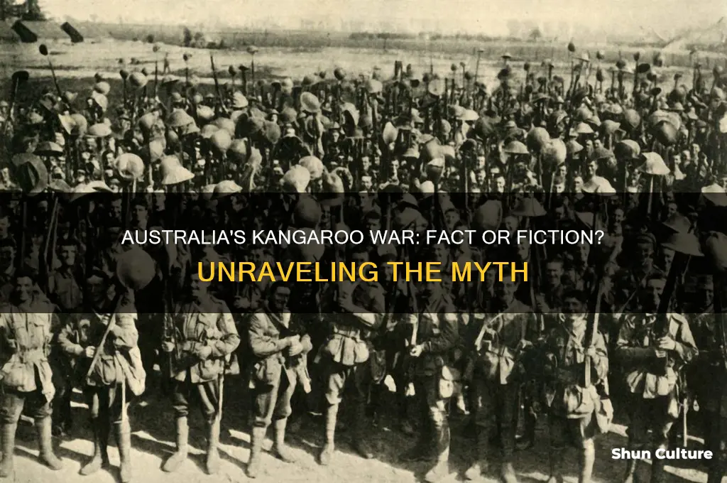 did australia go to war with kangaroos