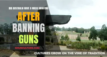 Australia's Gun Ban: Did It Stop Mass Shootings?