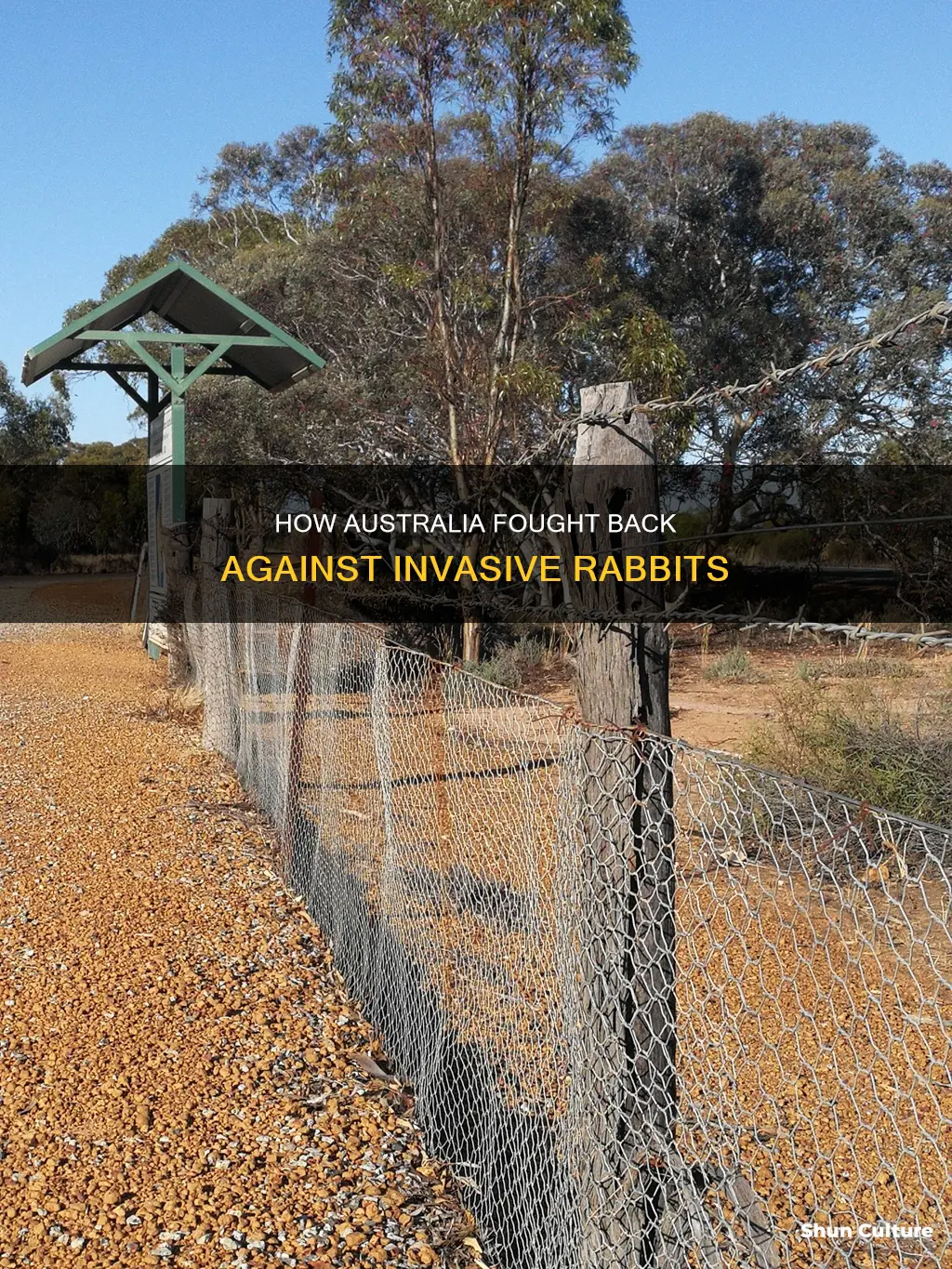 did australia make a wall to keep out rabbits
