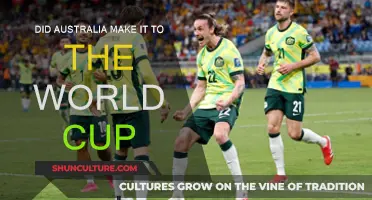 Socceroos' World Cup Qualification: A Rollercoaster Ride