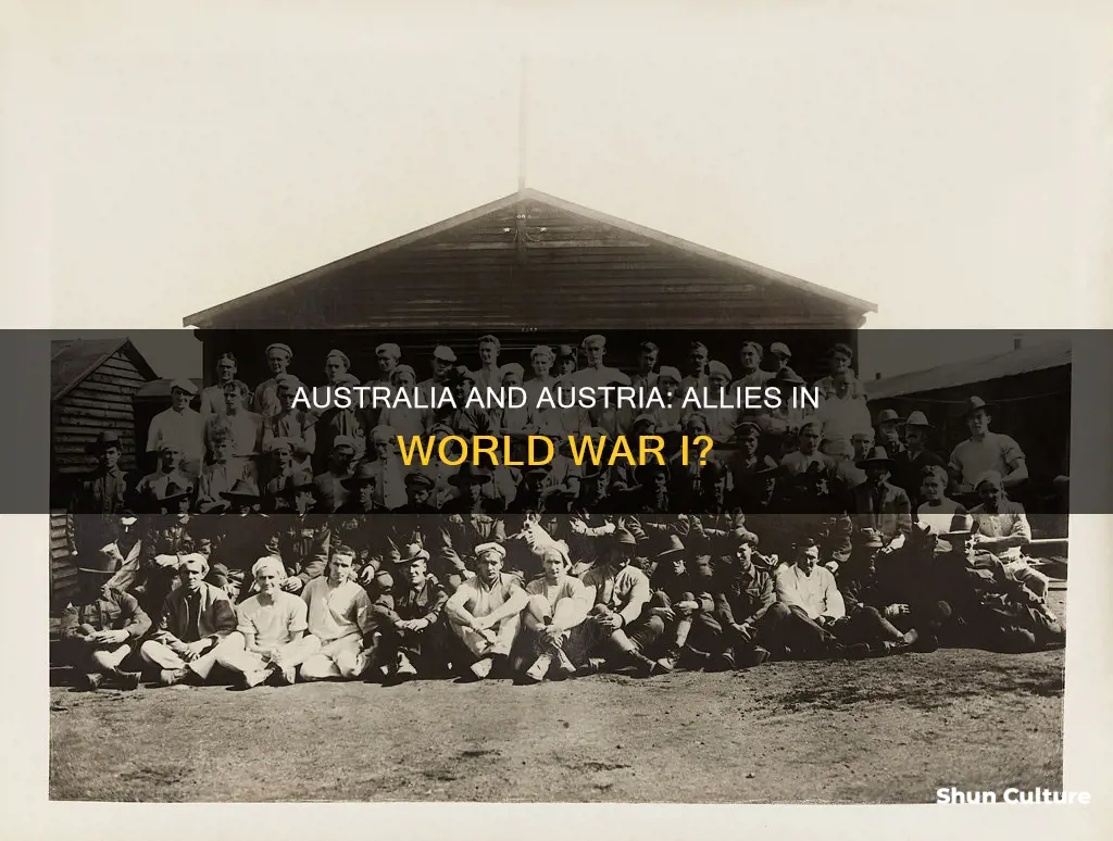 did australia or austria help uk in ww1