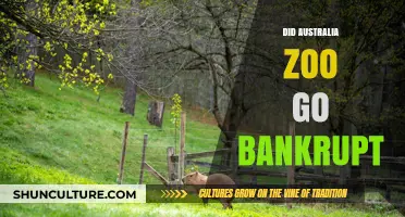 Did Australia Zoo Face Bankruptcy? Unraveling the Financial Truth