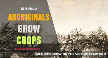 Aboriginal Australians: Farmers and Crop Growers?