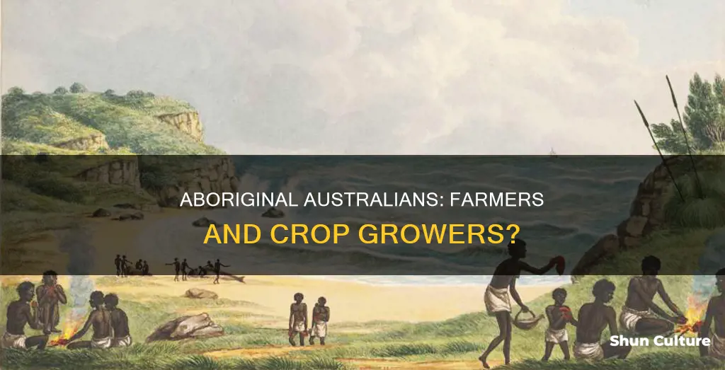 did australian aboriginals grow crops
