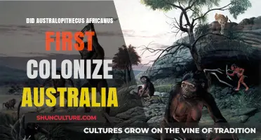 Did Australopithecus Africanus First Colonize Australia? Unraveling the Mystery