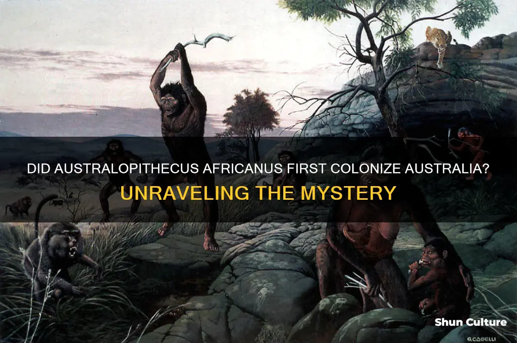 did australopithecus africanus first colonize australia