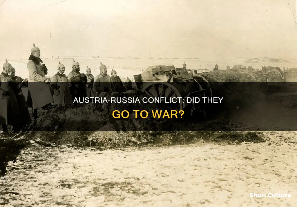 did austria and russia go to war