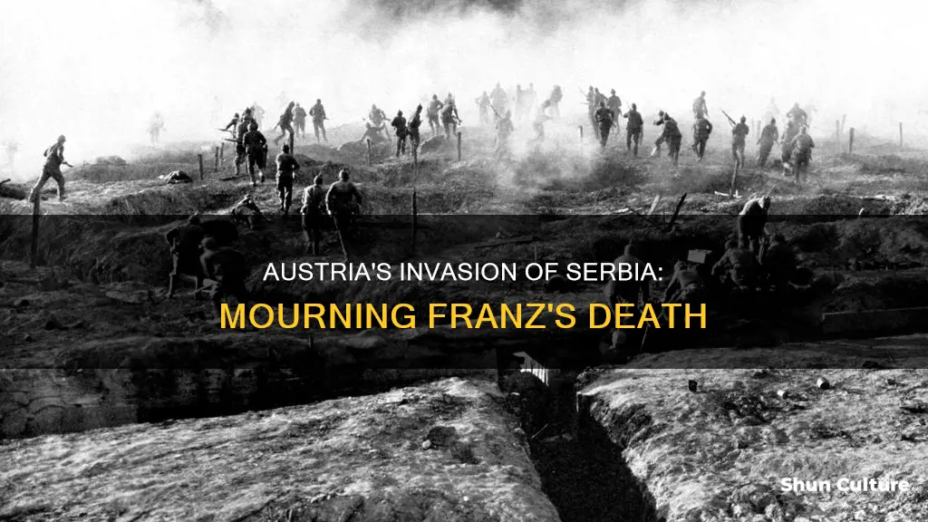 did austria attack serbia after the death of franz