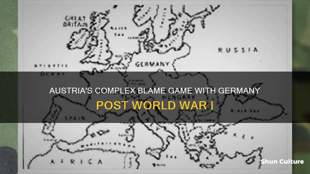 did austria blame germany for world war 1