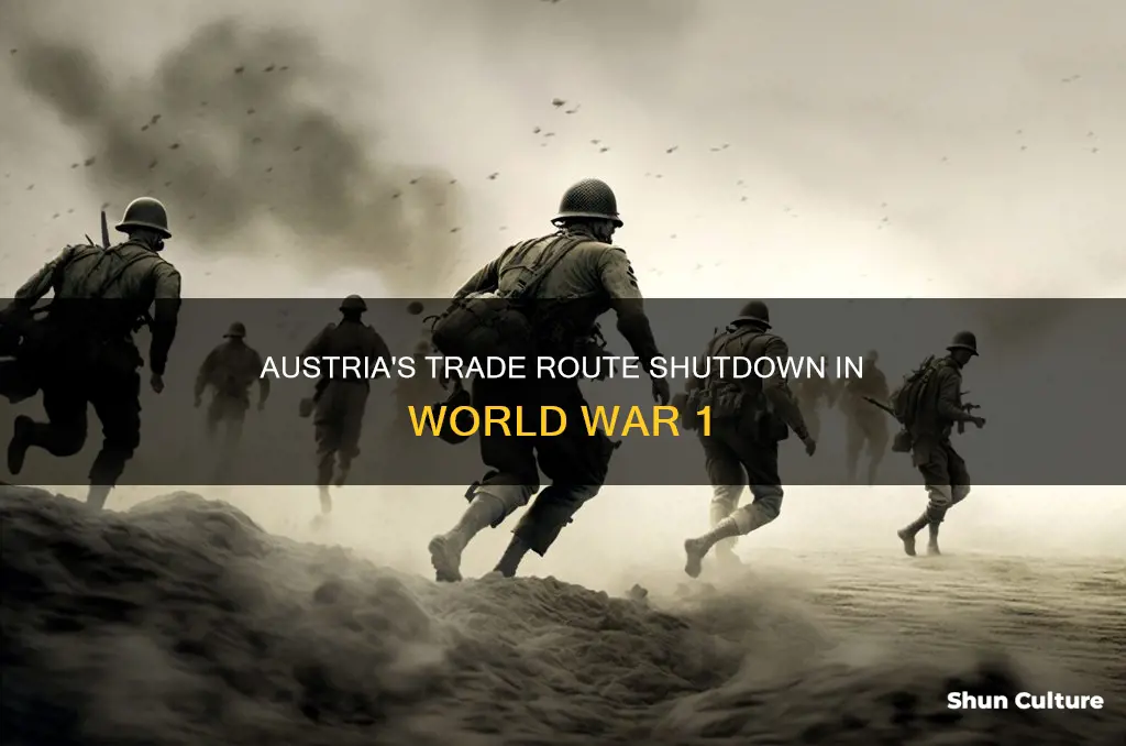 did austria close trade routes in ww1