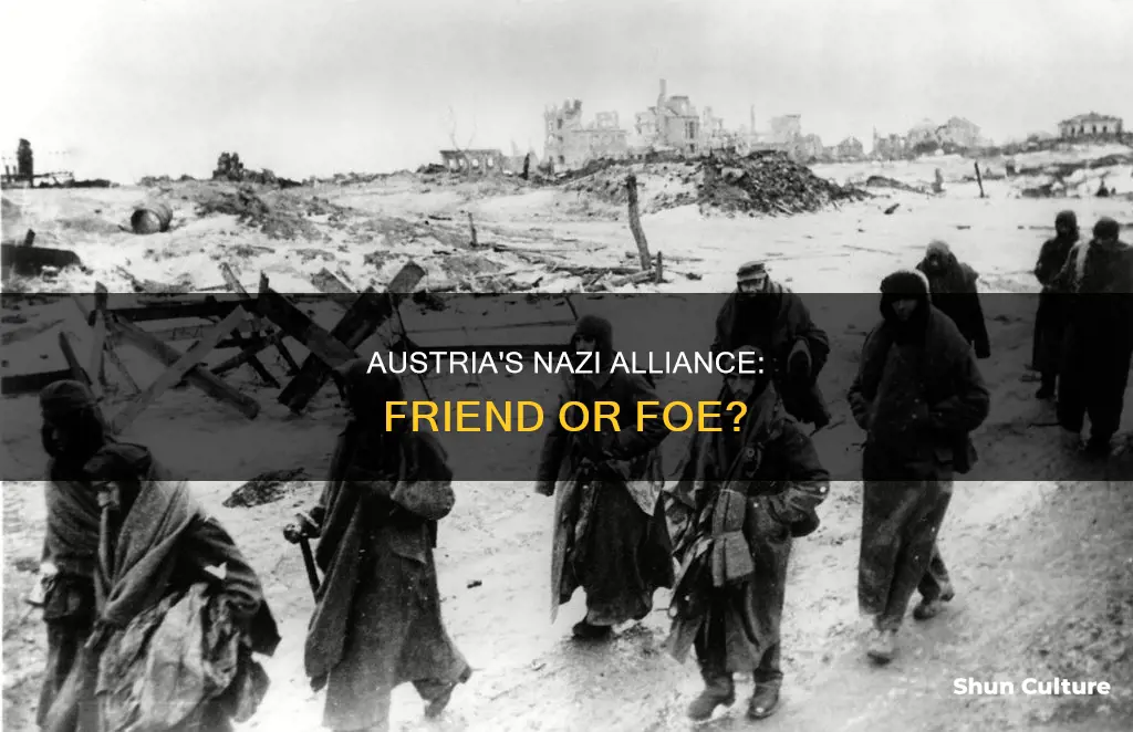 did austria fight for the nazis or with the nazis