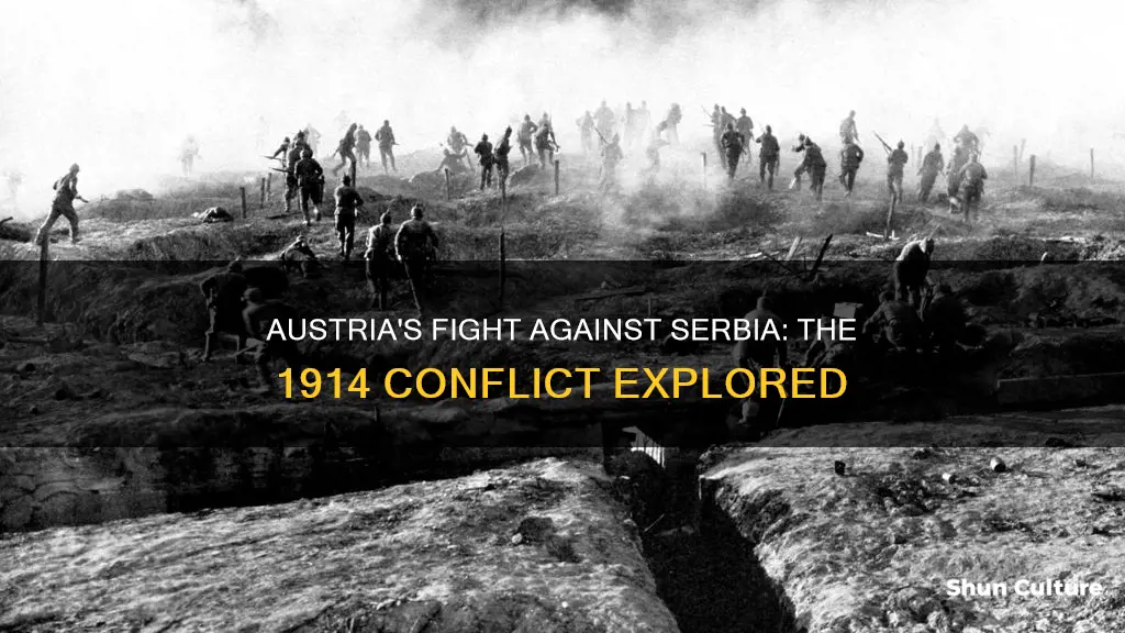 did austria fight serbia in 1914