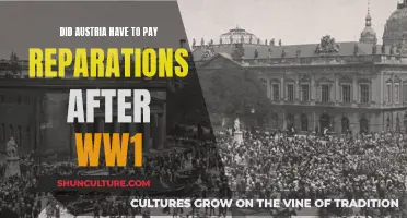 Austria's Post-WWI Reparations: A Heavy Price Paid