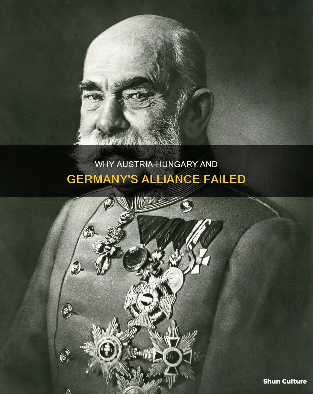 did austria hungary and germany have to stop the alliance