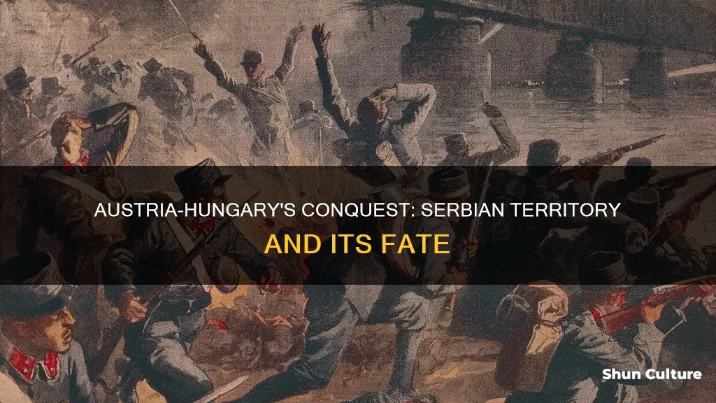 did austria hungary conquer serbian territory