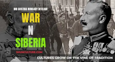 Austria-Hungary's War Declaration: Siberia's Role