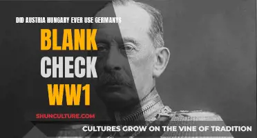 Austria-Hungary's Blank Check: Germany's Promise in WWI