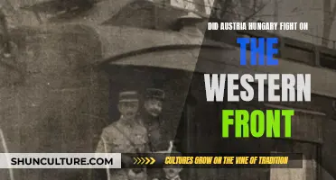 Austria-Hungary's Western Front Involvement: Did They Fight?