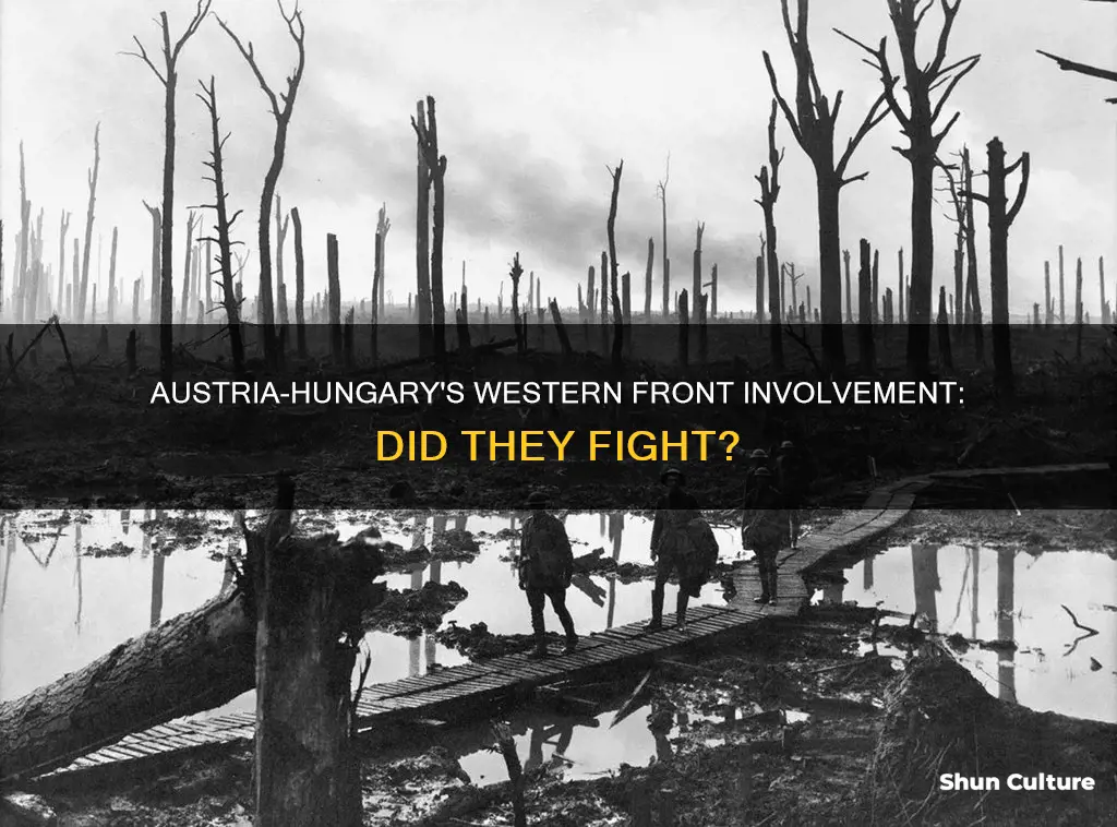 did austria hungary fight on the western front