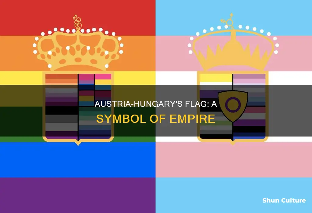 did austria hungary have a flag