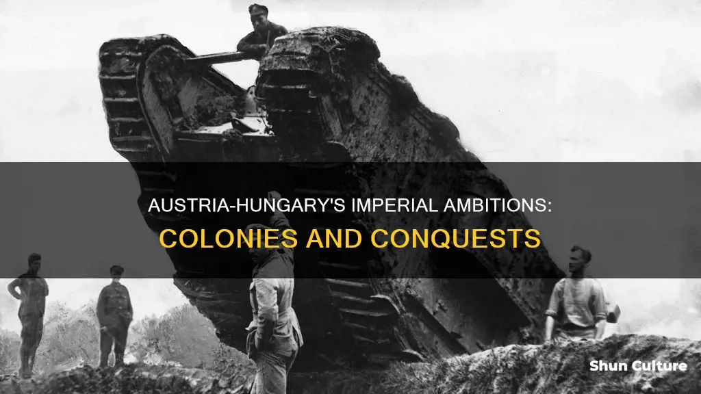 Austria-Hungary's Imperial Ambitions: Colonies And Conquests | ShunCulture