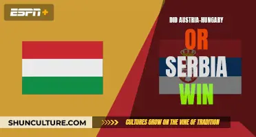 Who Won: Austria-Hungary or Serbia?