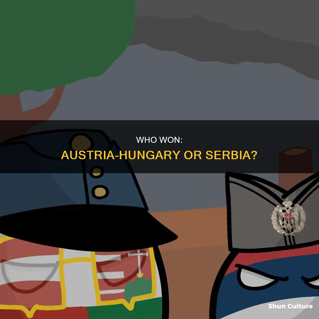 did austria-hungary or serbia win